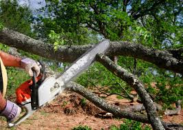 Best Lawn Grading and Leveling  in Mount Hore, WI